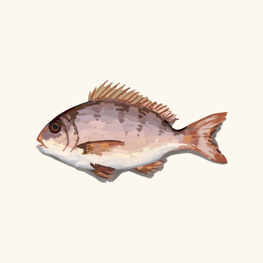 POISSON