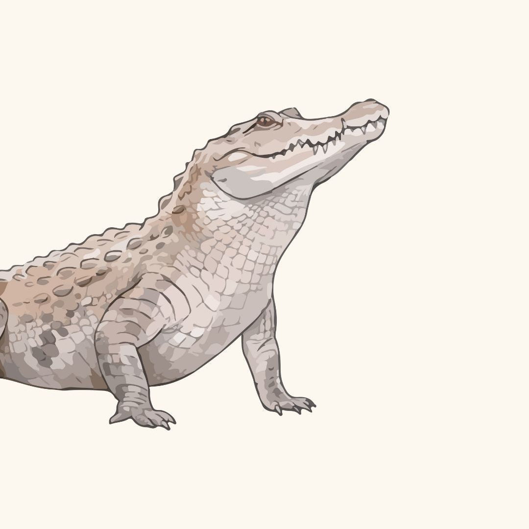 CROCODILE.