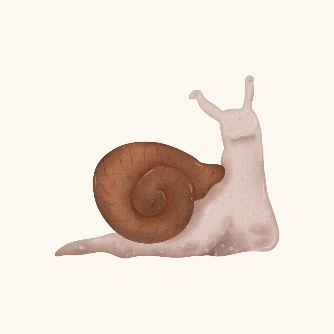 ESCARGOT.