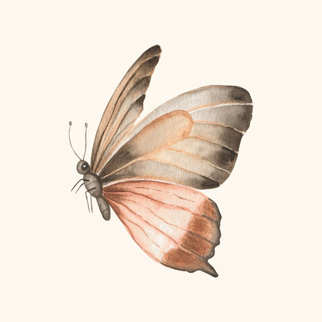 PAPILLON.