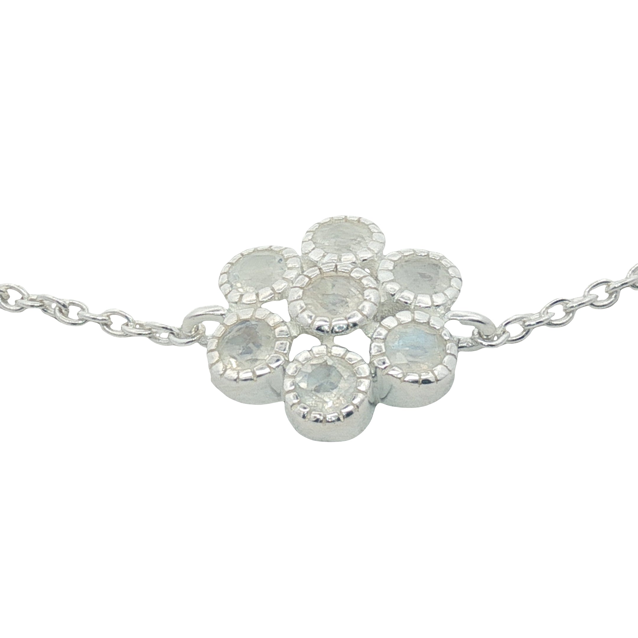 Image de diapositive
