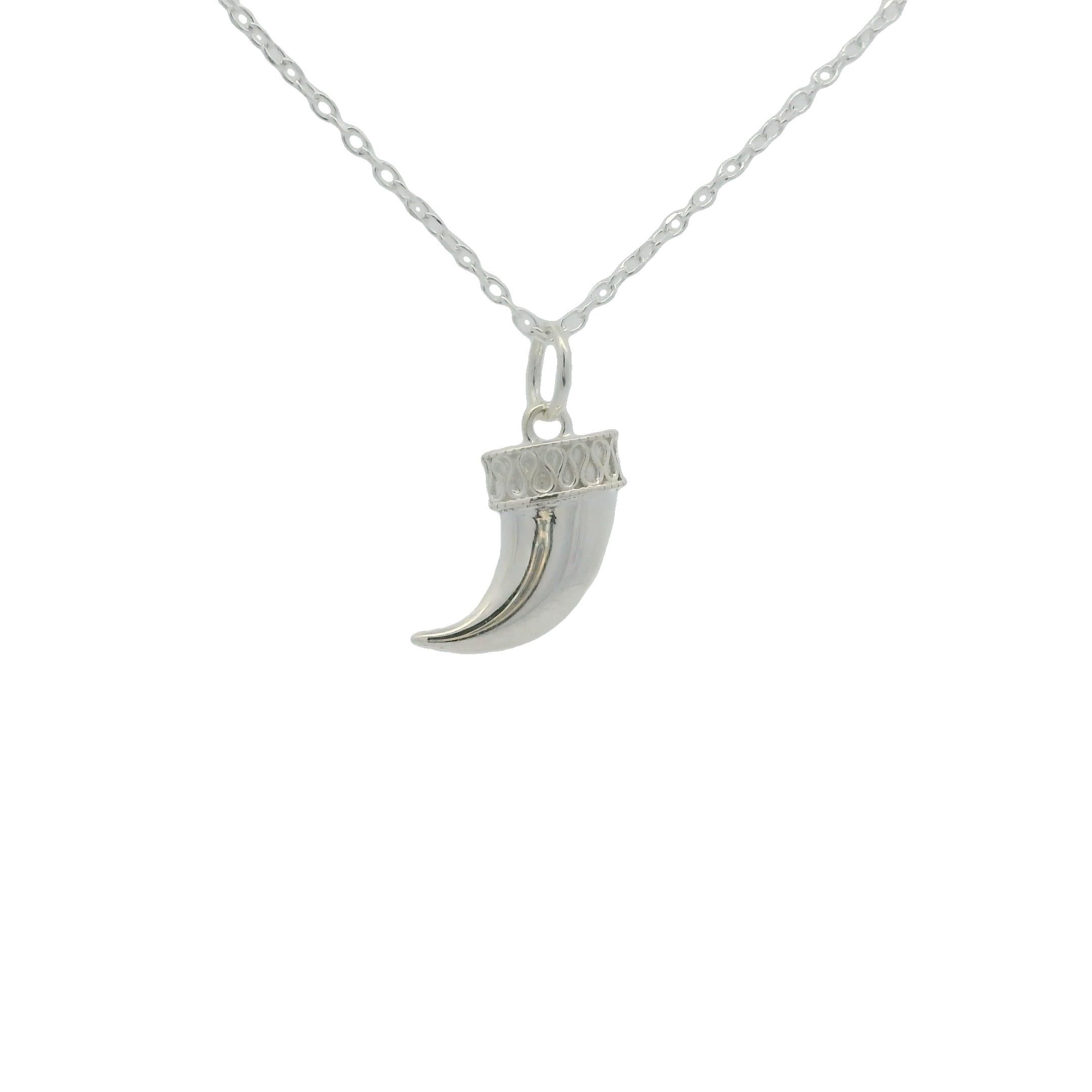 Collier en argent 925 petite corne 42 cm