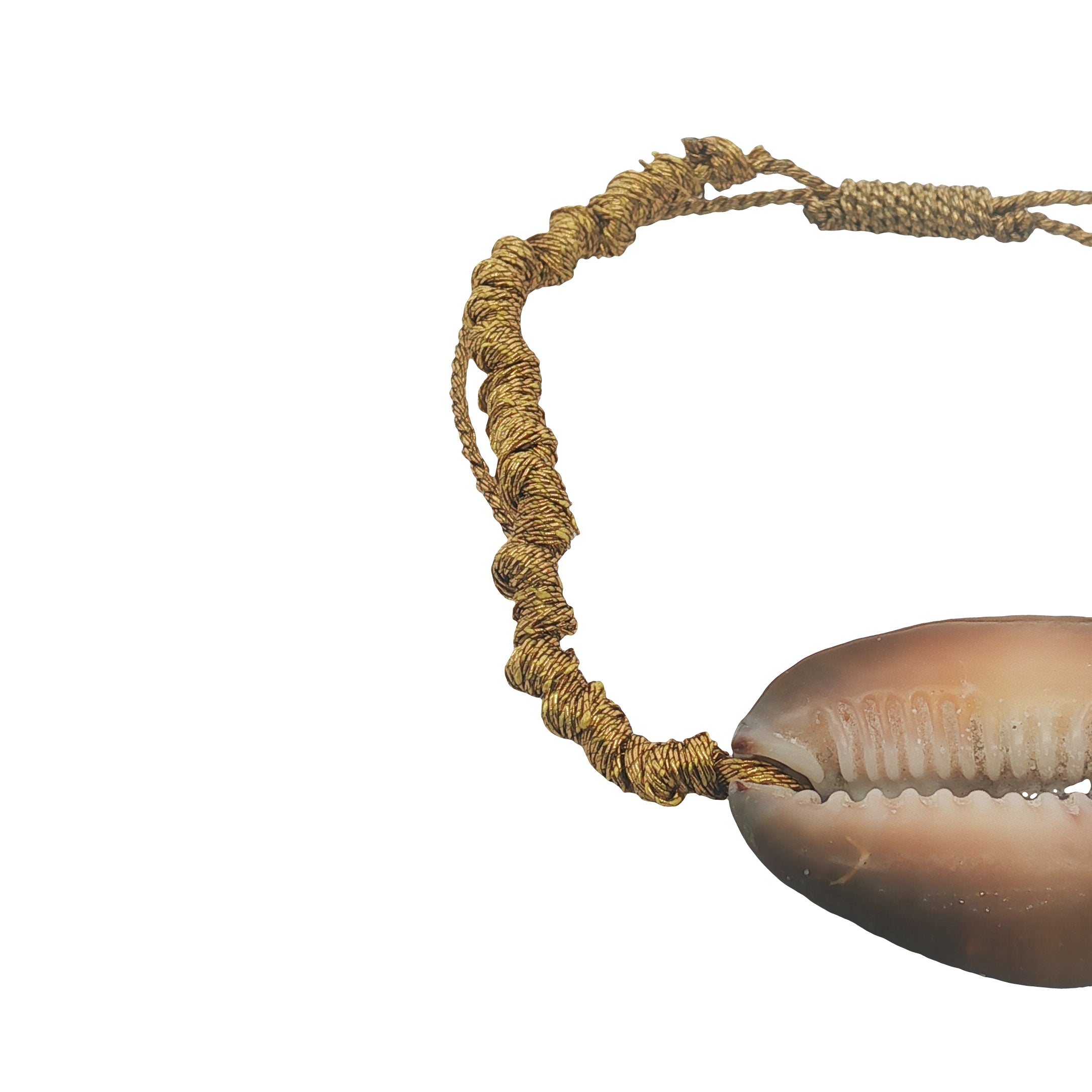 Bracelet cordon tressé doré et cauri brun