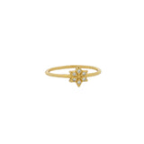 Small flower and zircon gold ring