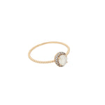 Image de diapositive