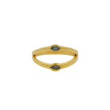 Double gold and labradorite ring